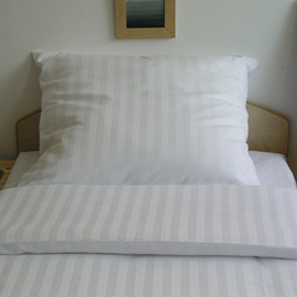 Passat Duvets and Pillow Cases 