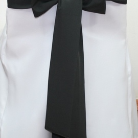 Ribbon bow