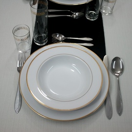 Anolis Overlay on the Table
