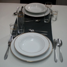 Anolis Overlay on the Table