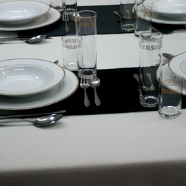 Anolis Overlay on the Table