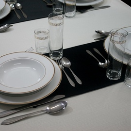 Anolis Overlay on the Table