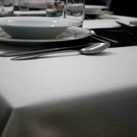Anolis Overlay on the Table