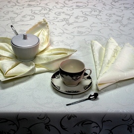 Overlays on the Tables TORINO